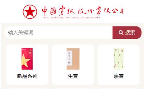 北京黑羽網(wǎng)絡(luò)案例紅星宣紙